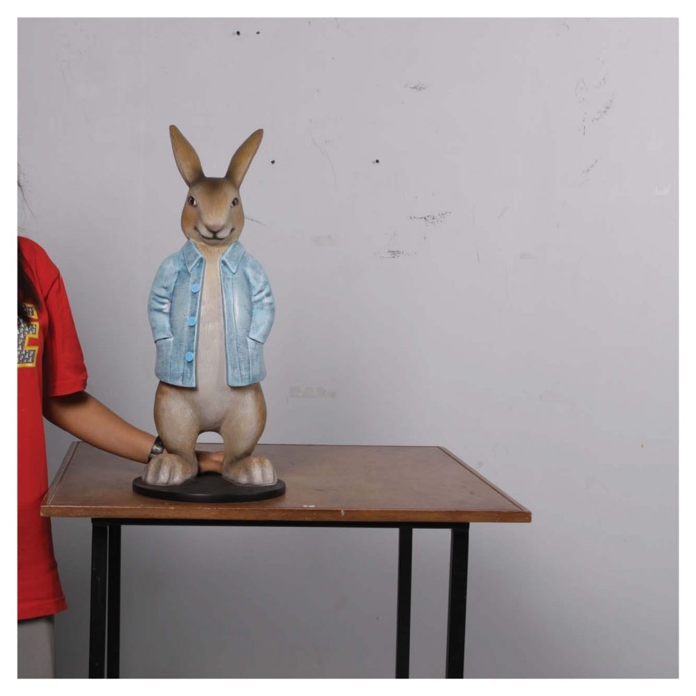 Mammals Domestic Pets Rabbits Long blue coat on table Product Image V px px