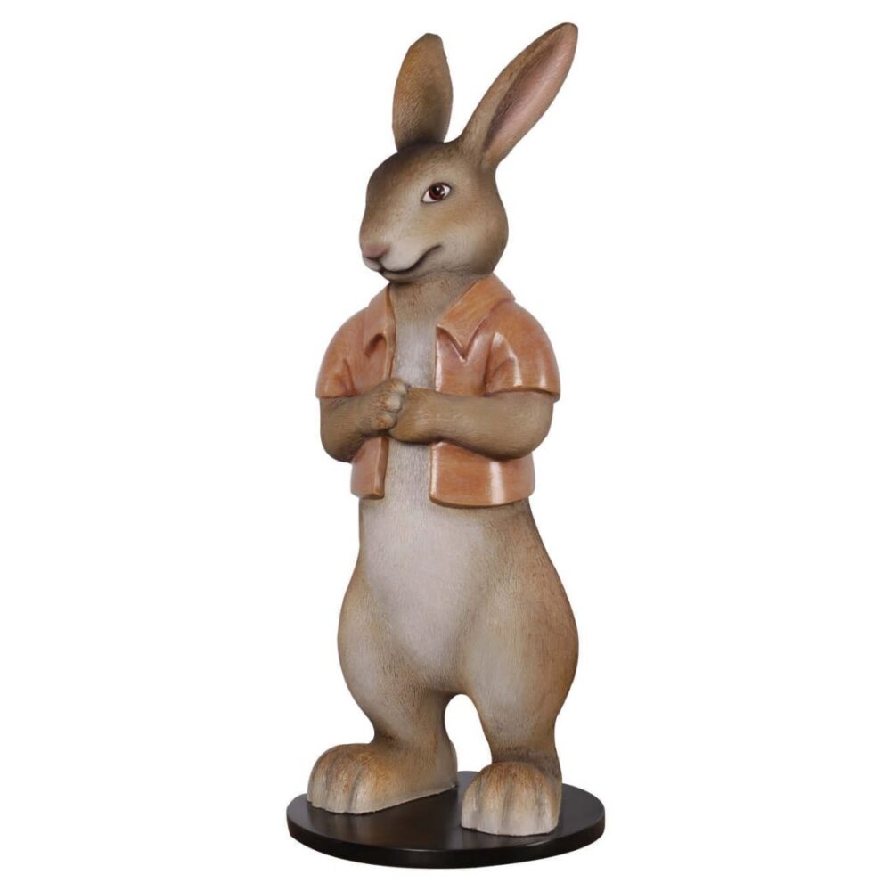 Mammals Domestic Pets Rabbits Short coat Product Image V px px