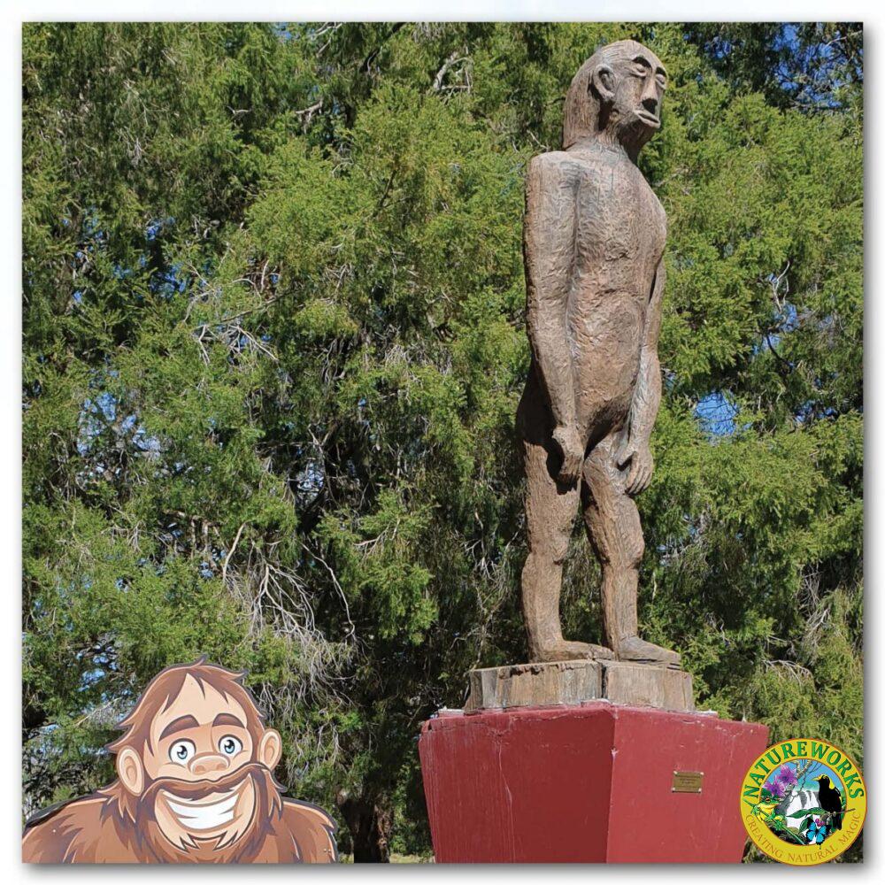 Mammals Fantasy mammals Yowie Custom Public Art Product Image V px px