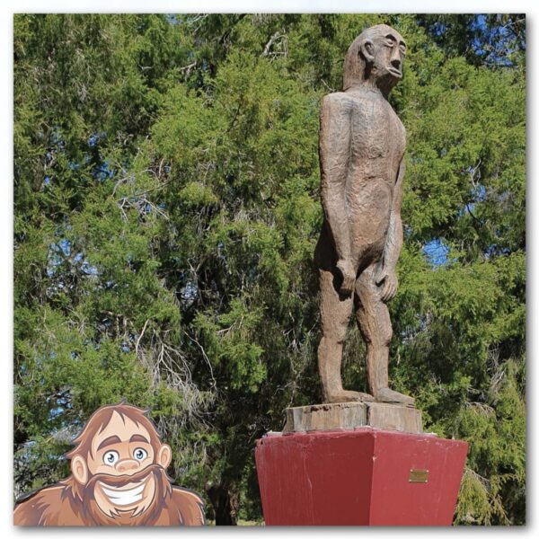 Mammals Fantasy mammals Yowie Custom Public Art Product Image V px px