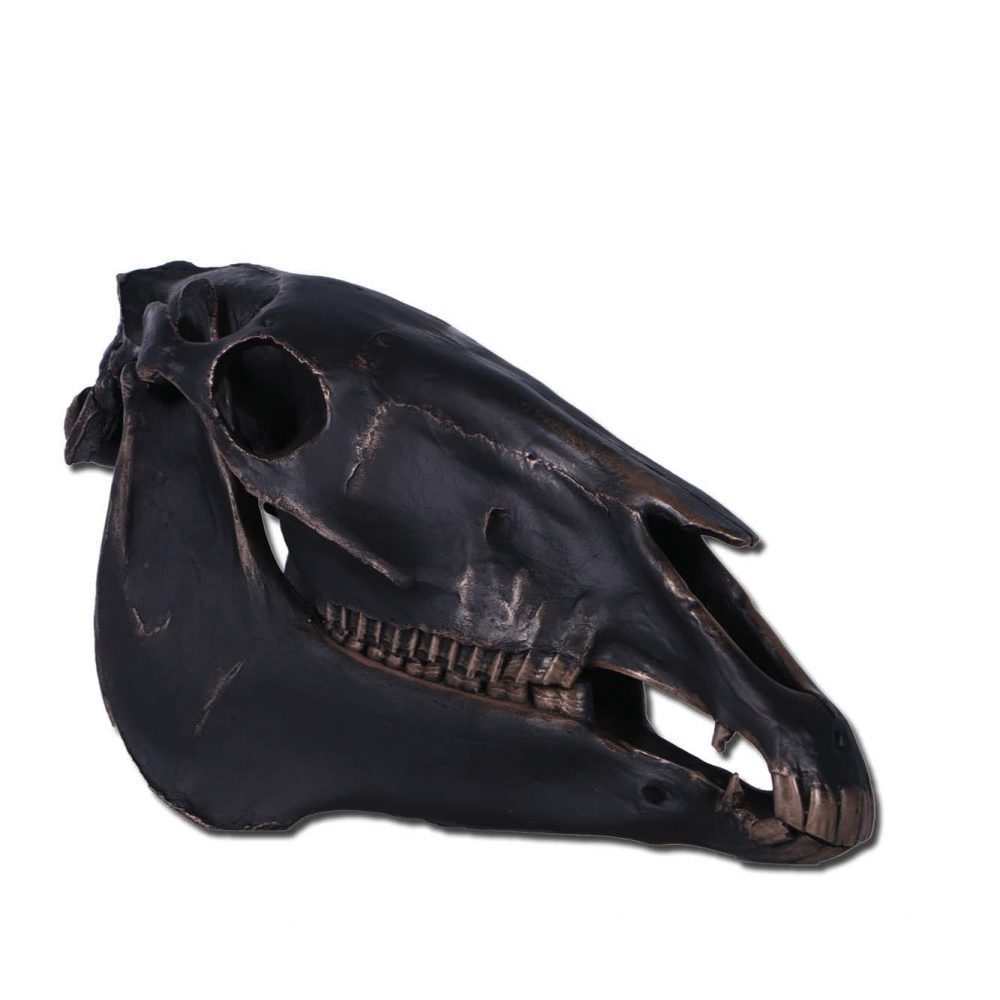 Mammals Farm animals Horses Skull Imperial Bronze Product Image V px px
