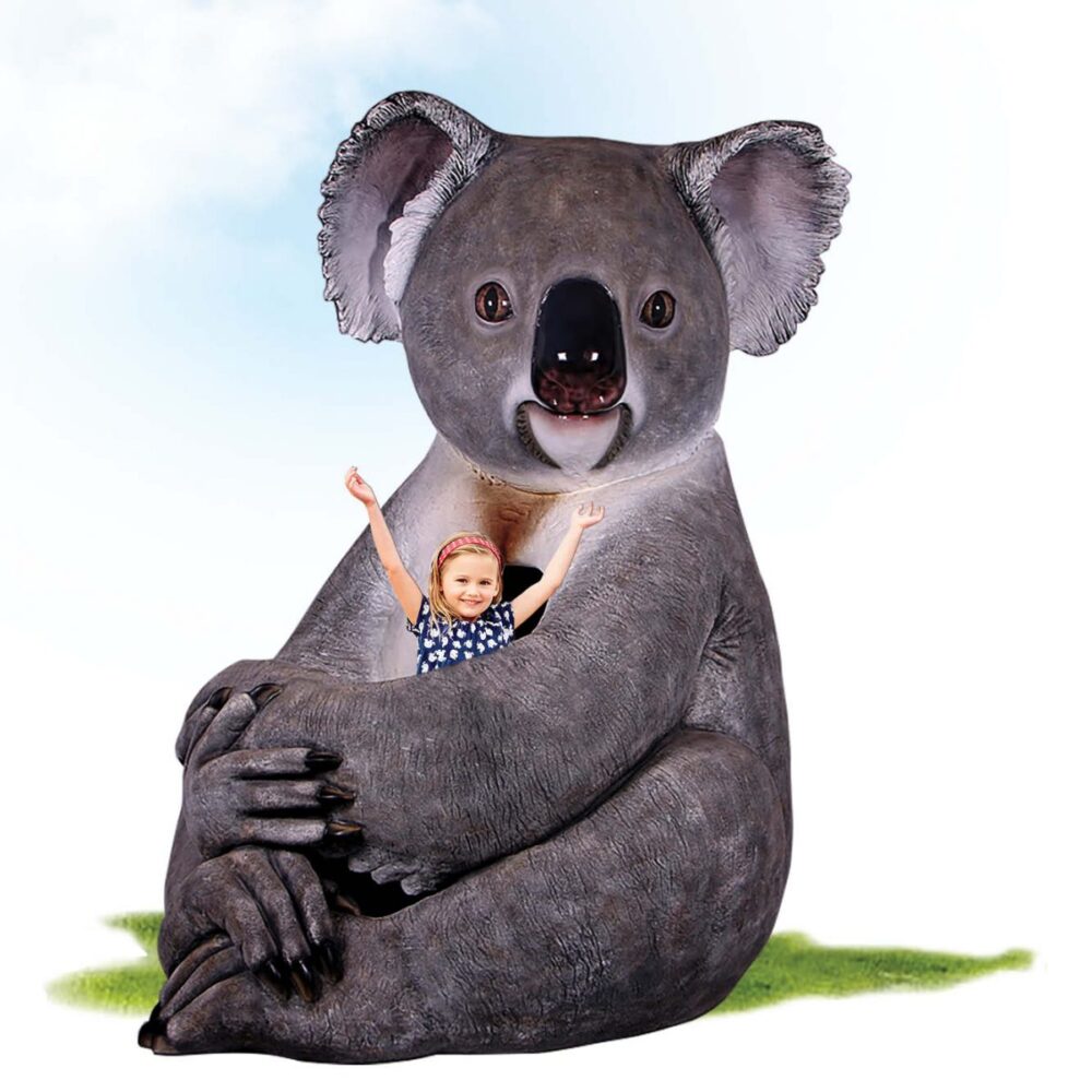 Koalas