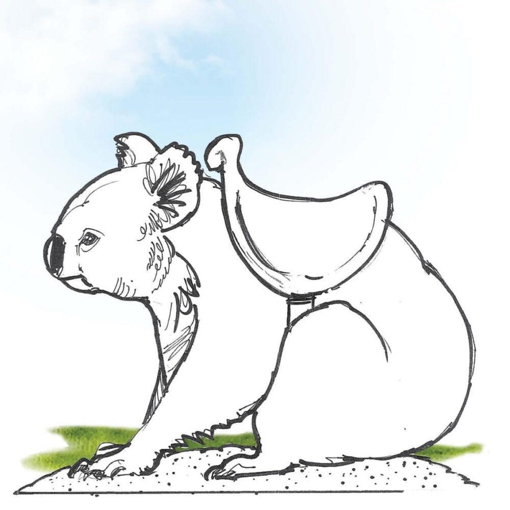 Koala with a saddle