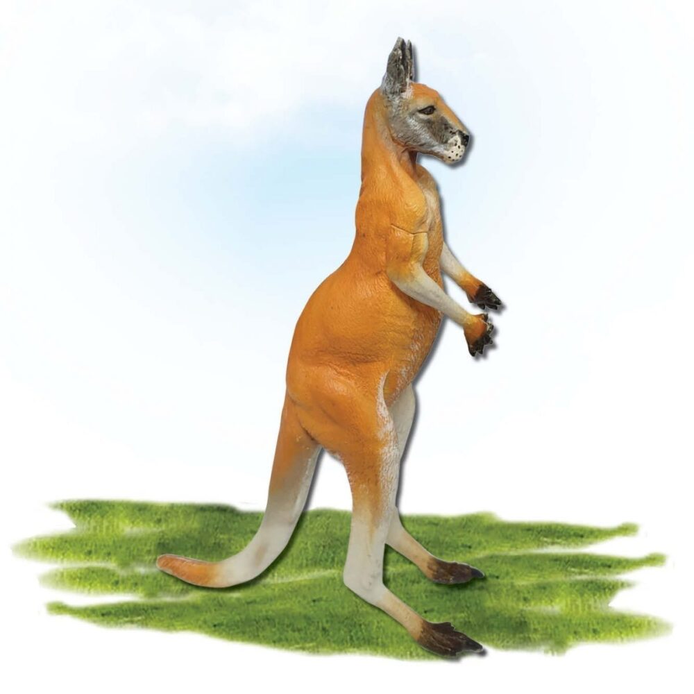 Mammals Larger than life size mammals Kangaroo Big Red  Product Image V px px