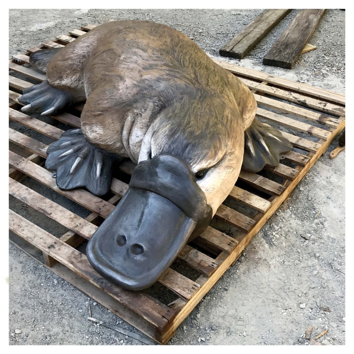 Natureworks Australia "Puggles"theplatypus .mlongclimb&Playsculpture
