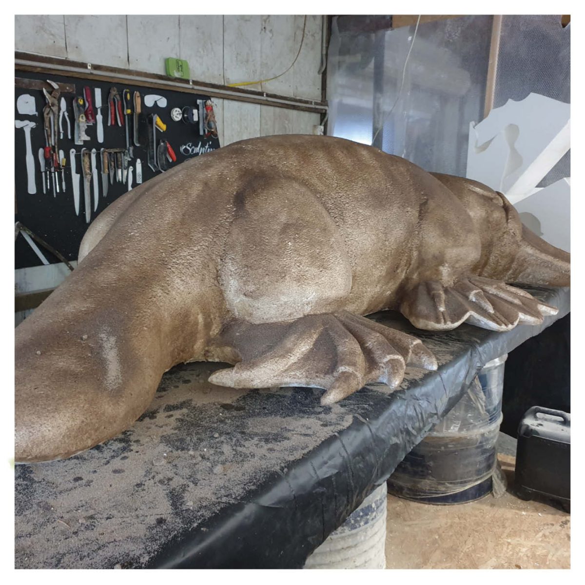 Natureworks Australia "Puggles"theplatypus .mlongclimb&Playsculpture