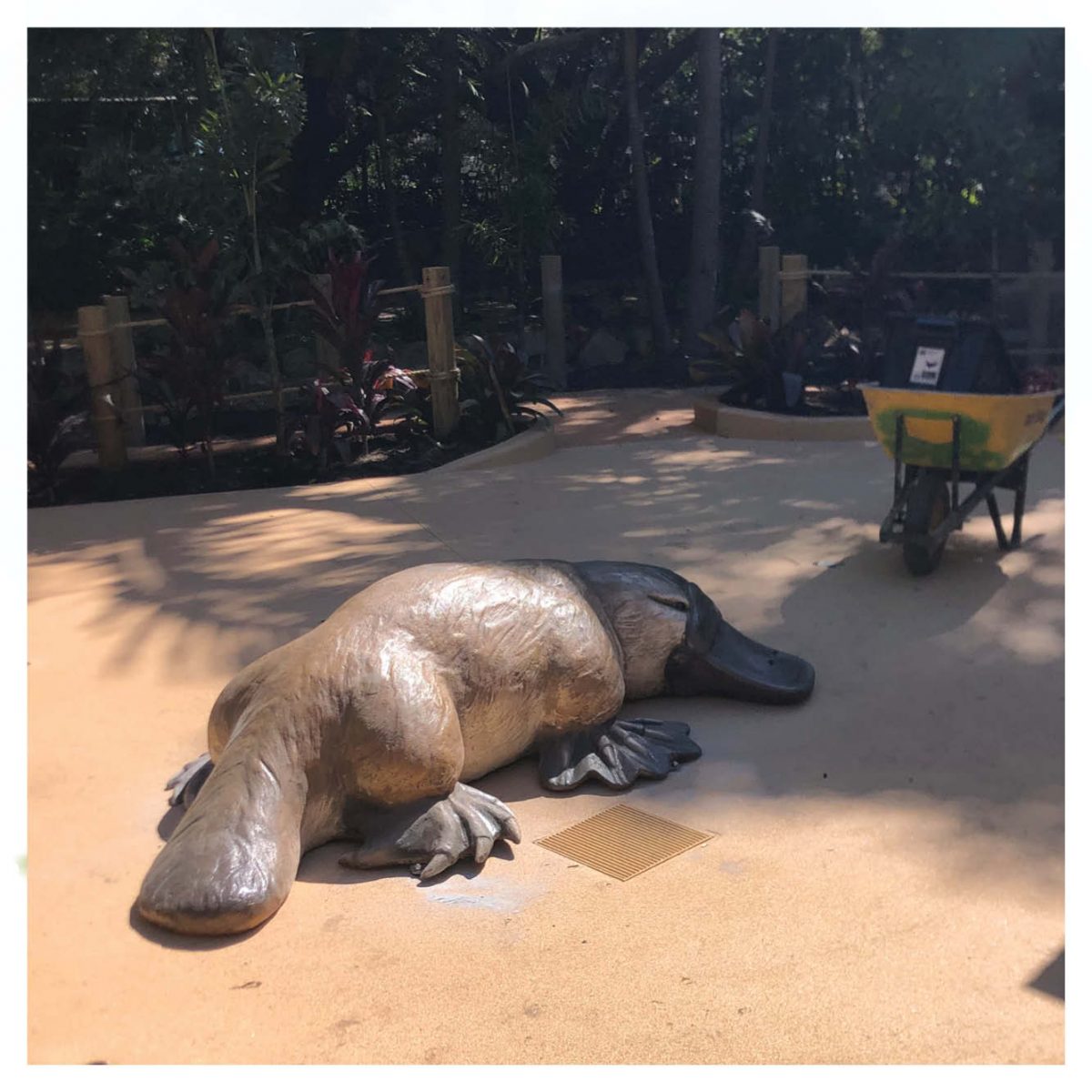 Natureworks Australia Mammals Larger than lifesize platypus