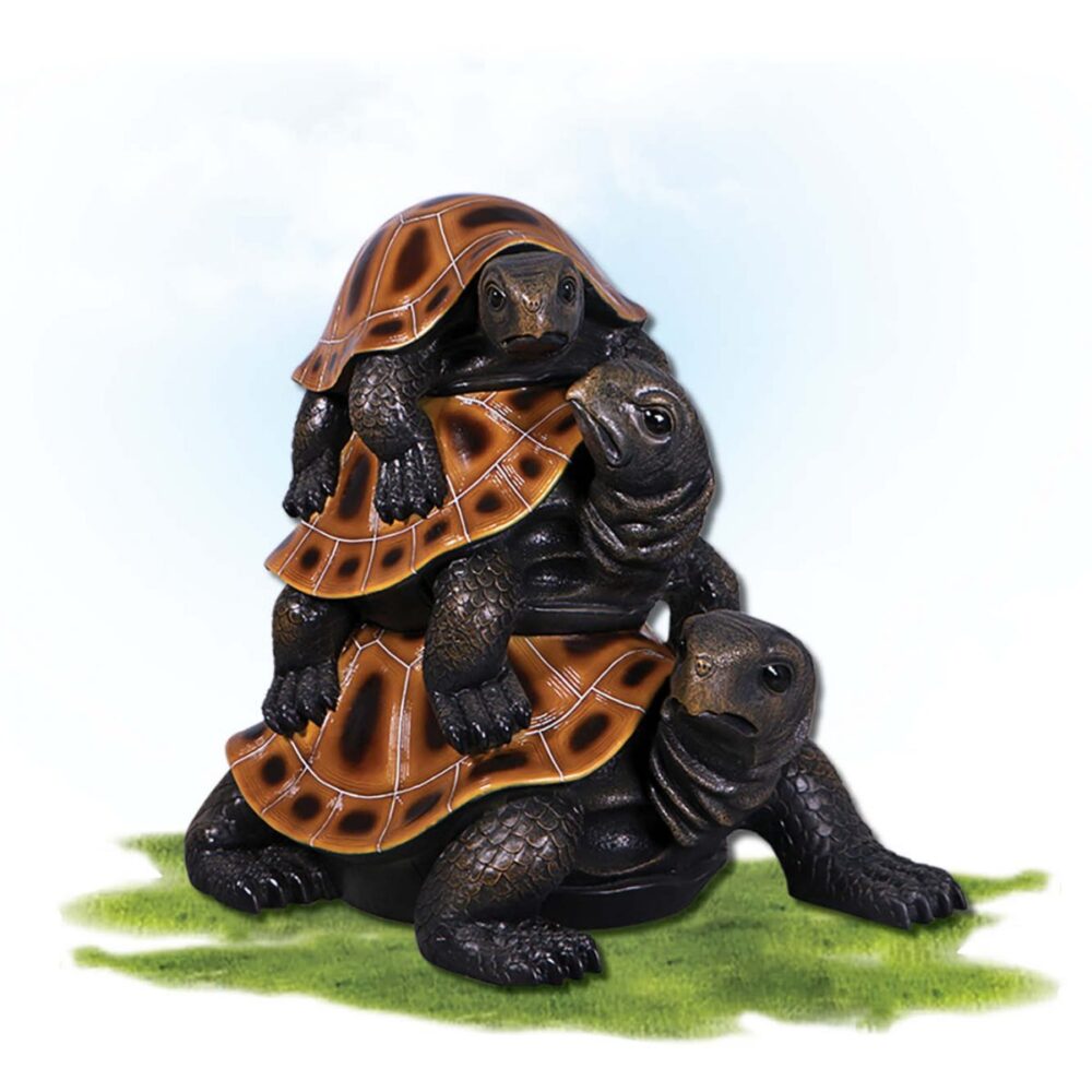 Natureworks Australia Mammals Marine Life Marine Reptiles Image V px px