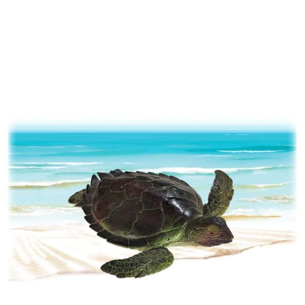 Mammals Marine Life Marine Reptiles Green Turtle Juvenile Product Image V px px