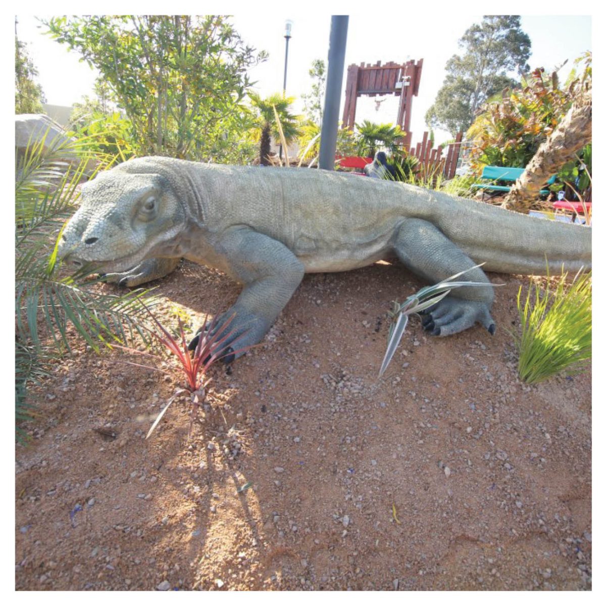 Natureworks Australia Mini Golf Theming Mini Golf Traralgon Big Caravan Park Komodo Dragon Gallery px px