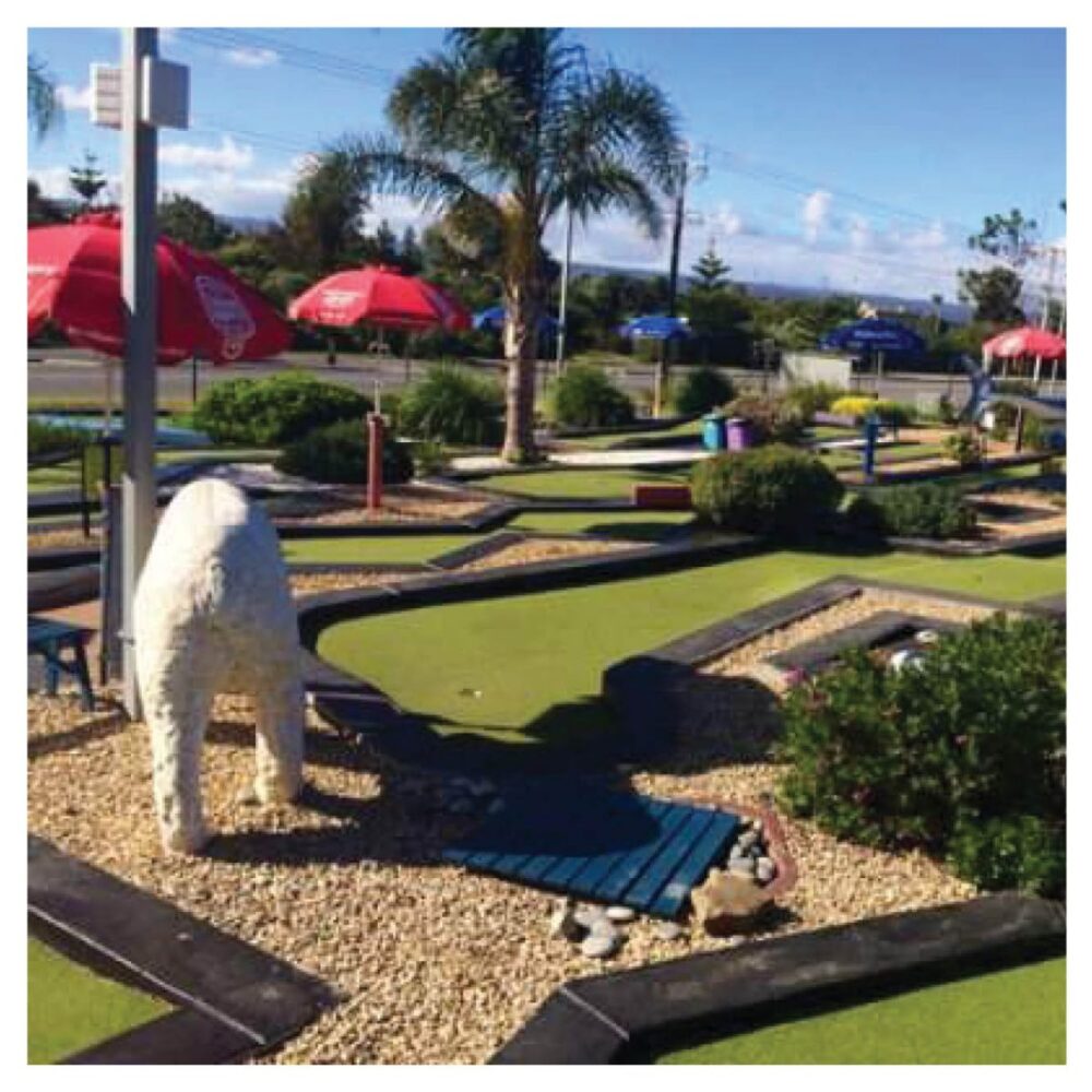 Mini Golf Theming Mini Golf Traralgon Big  Caravan Park Lion cub Product Gallery  px px
