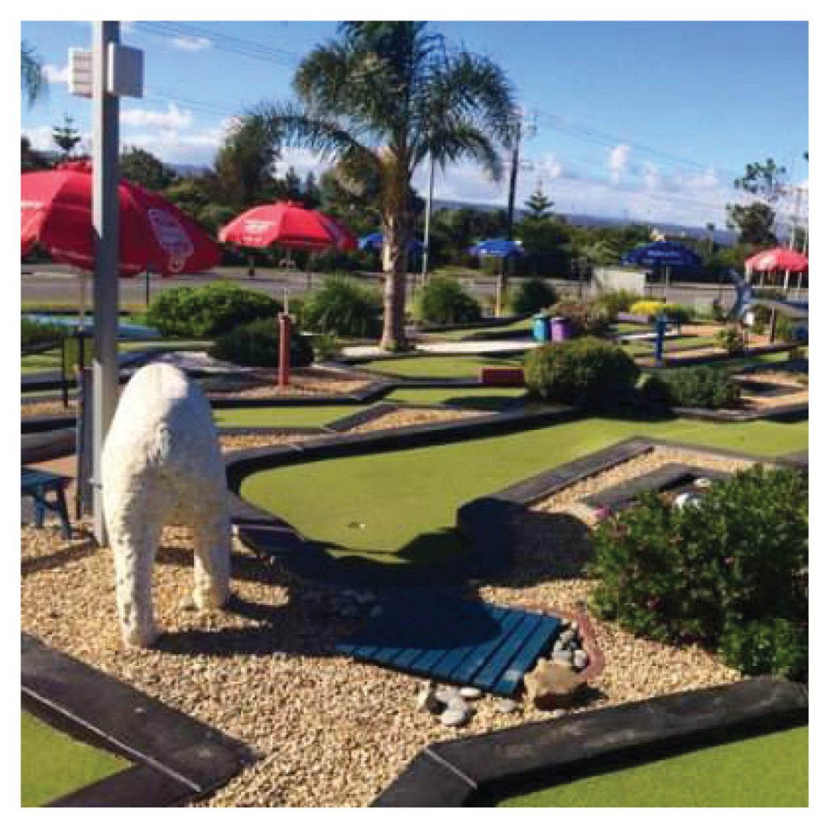 Natureworks Australia Mini Golf Theming Mini Golf Traralgon Big Caravan Park Lion cub Product Gallery px px