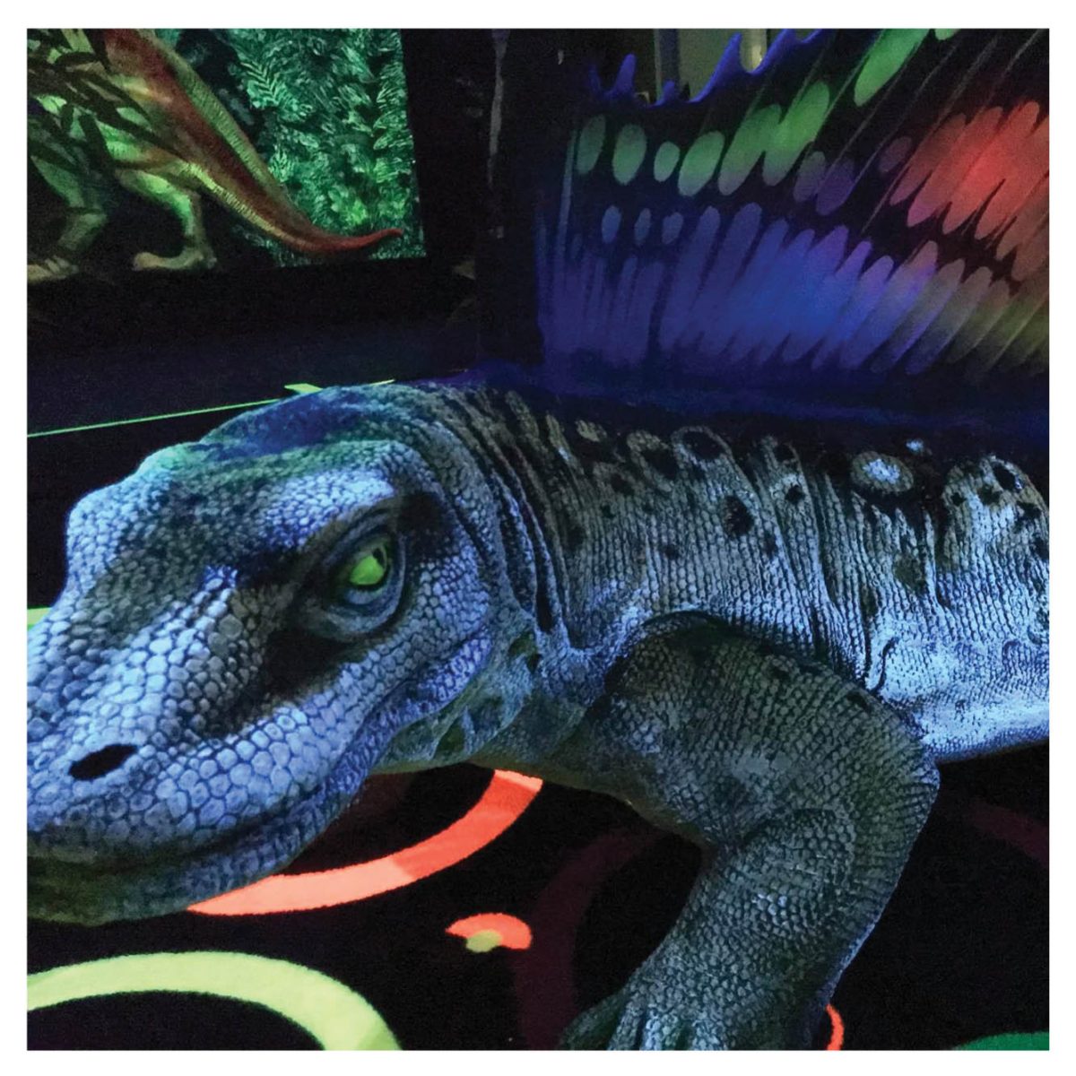 Natureworks Australia Mini Golf Theming Prehistoric Themed Mini Golf Chillasaurus Product Gallery px px