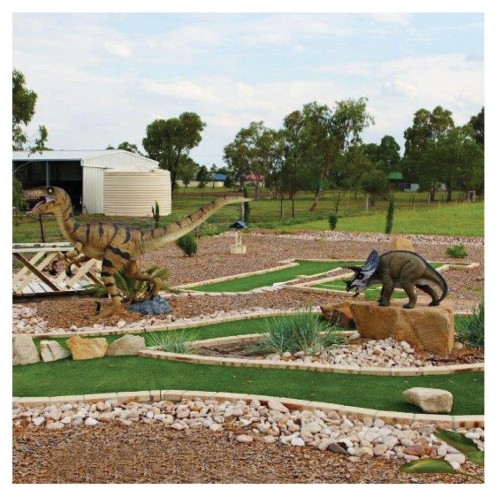 Mini Golf Theming Putt Play Pittsworth Residental backyard Product Gallery  px px