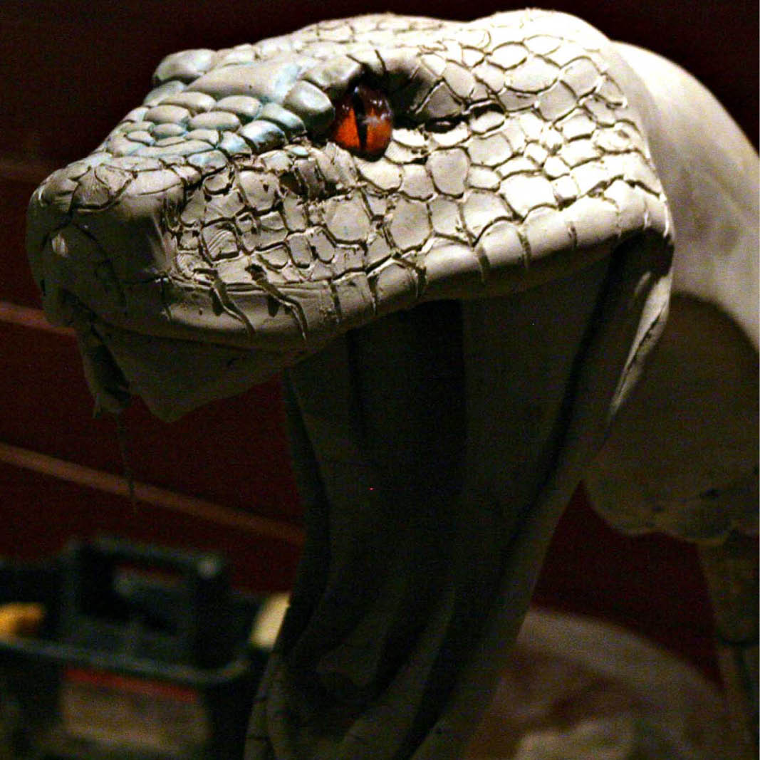 Natureworks Australia Montypythonoides Riversleighensis - Megafauna Snake entry statement - Custom designed for Currumbin Wildlife Sanctuary- Showing head in production - clay model