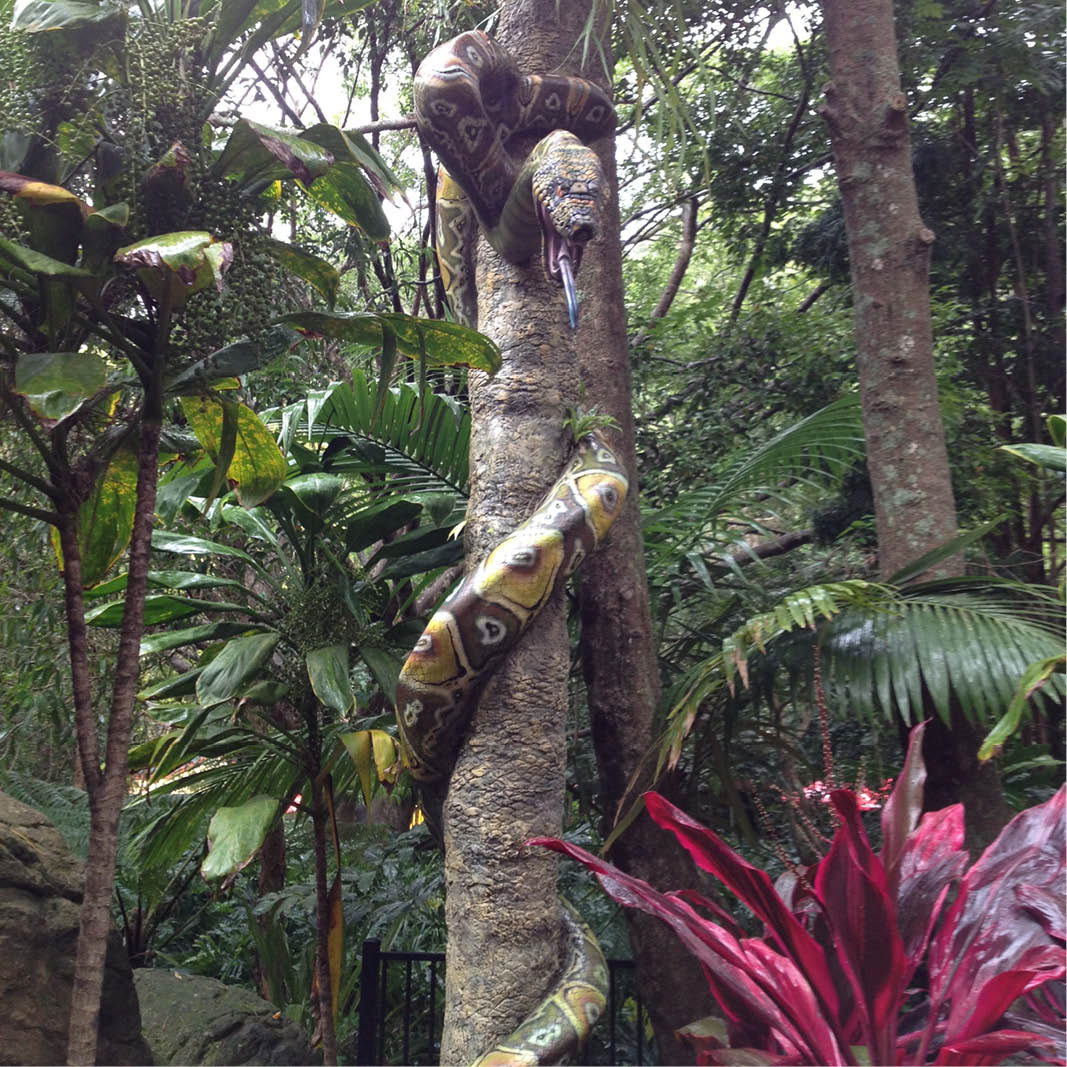 Natureworks Australia Montypythonoides Riversleighensis - Megafauna Snake entry statement - Custom designed for Currumbin Wildlife Sanctuary- Shown insitu