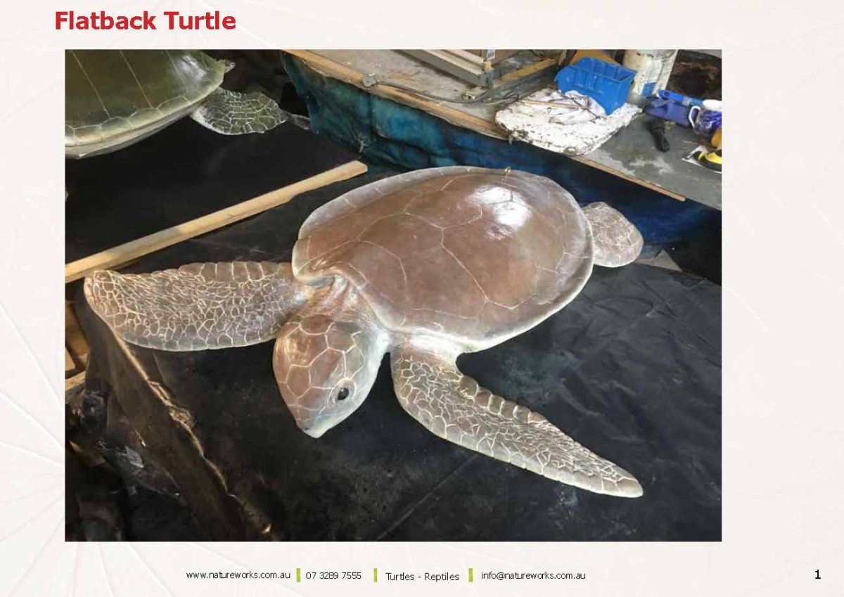 Natureworks Australia Natureworks Turtles Page