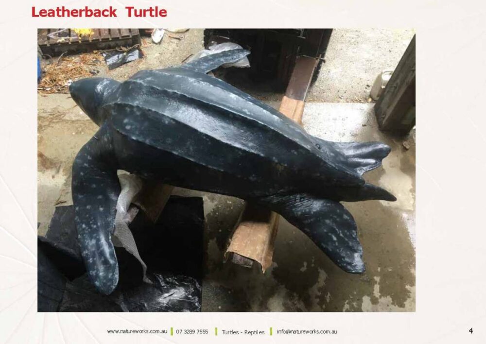 Natureworks Turtles Page
