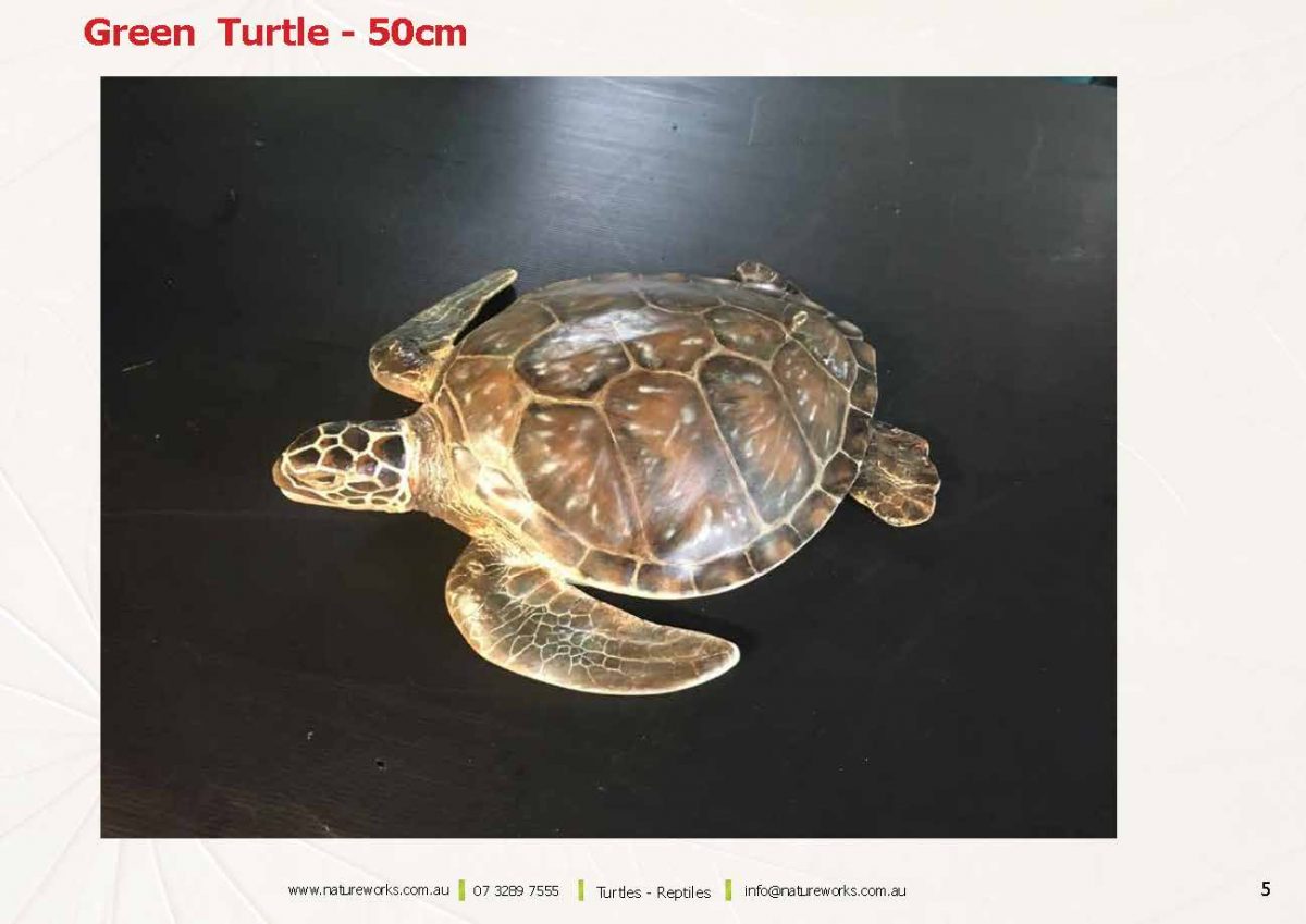 Natureworks Australia Natureworks Turtles Page