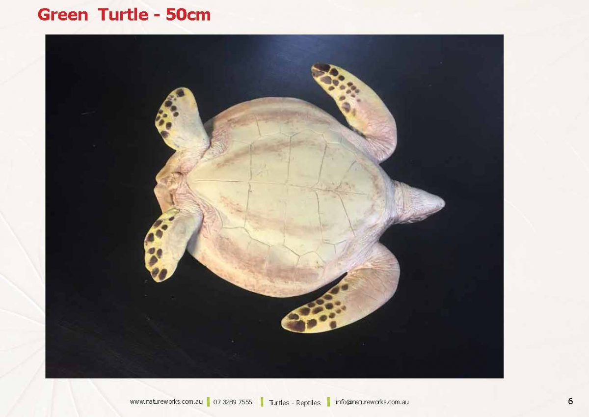 Natureworks Australia Natureworks Turtles Page