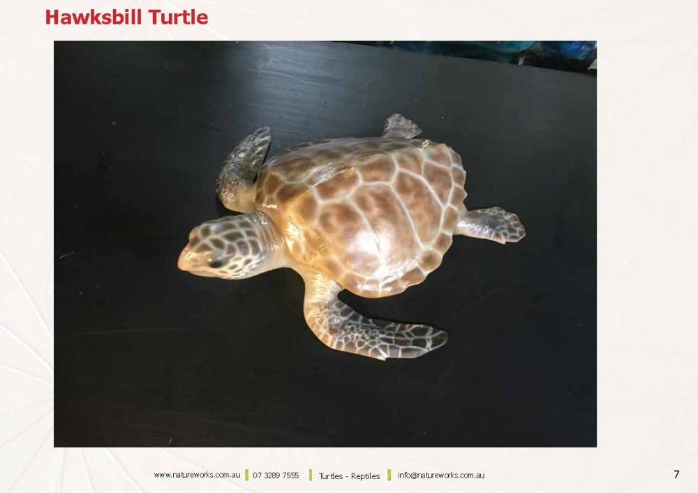 Natureworks Turtles Page