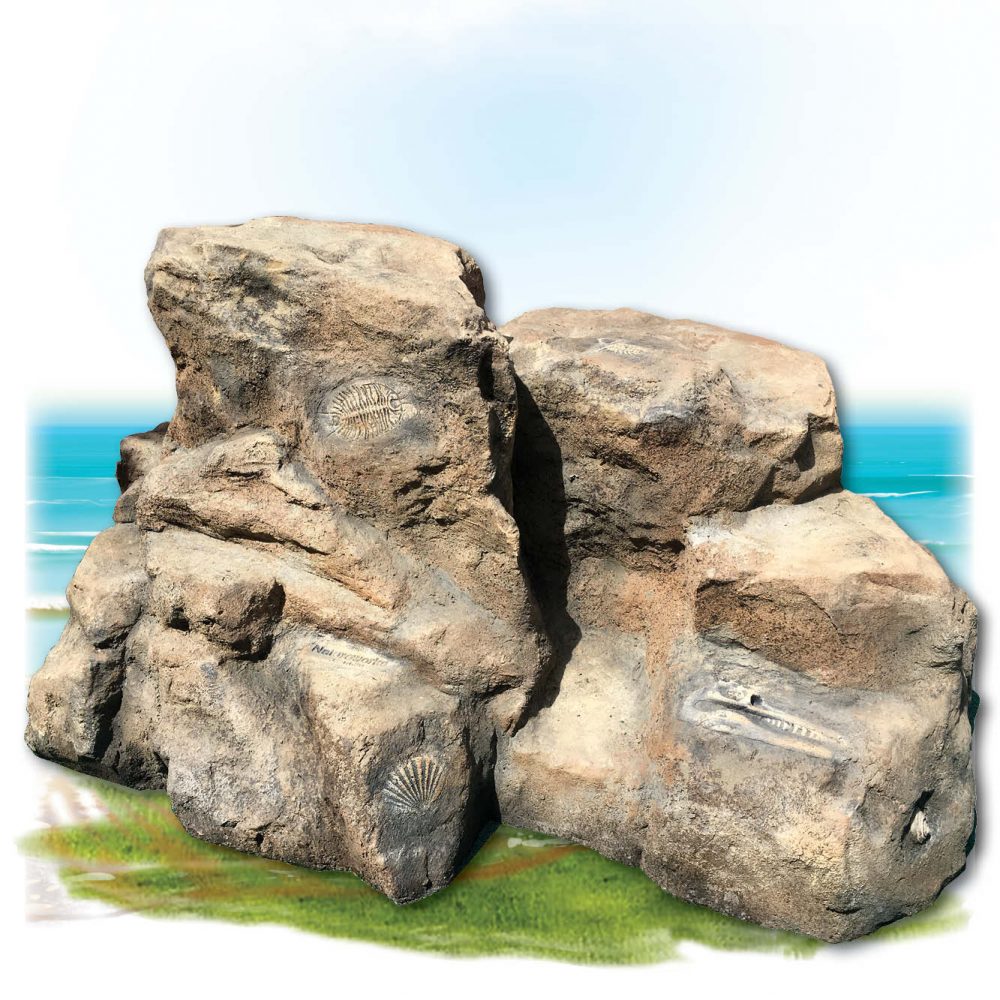 Playground Theming Artificial Rock Climbers Marine Rock with fossils Product Image  px px
