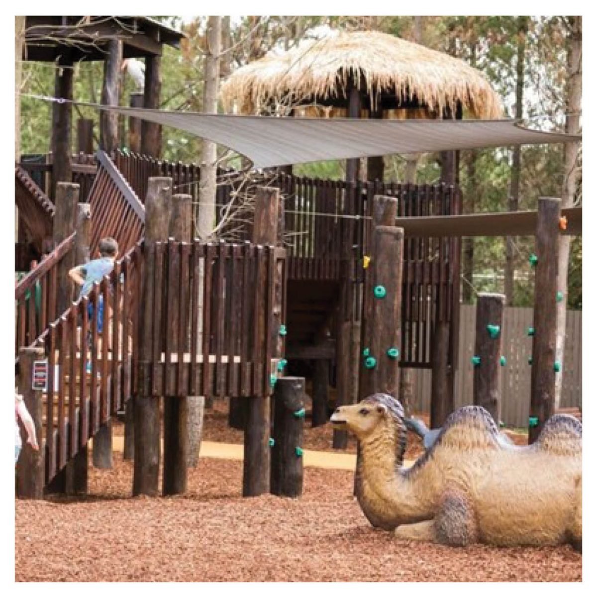 Natureworks Australia Playground Theming Completed Playgrounds Camel Product Gallery px px