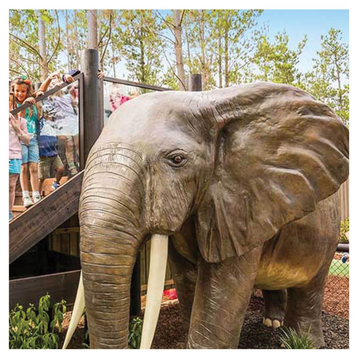 Natureworks Australia Playground Theming Completed Playgrounds Elephant Product Gallery px px