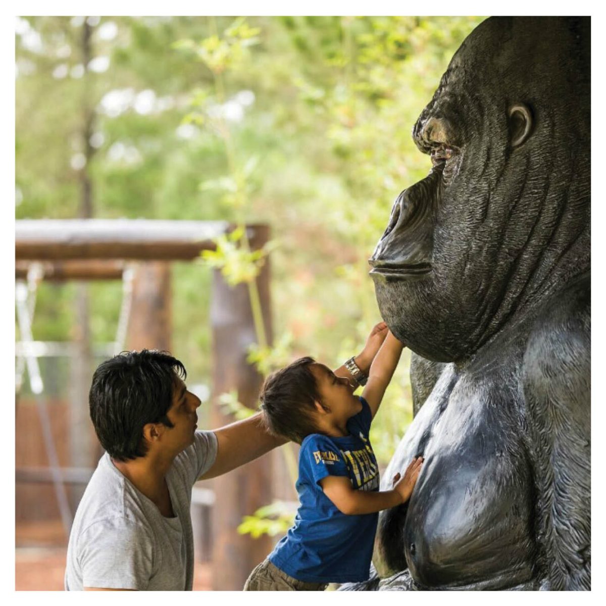 Natureworks Australia Playground Theming Completed Playgrounds Gorilla Product Gallery px px