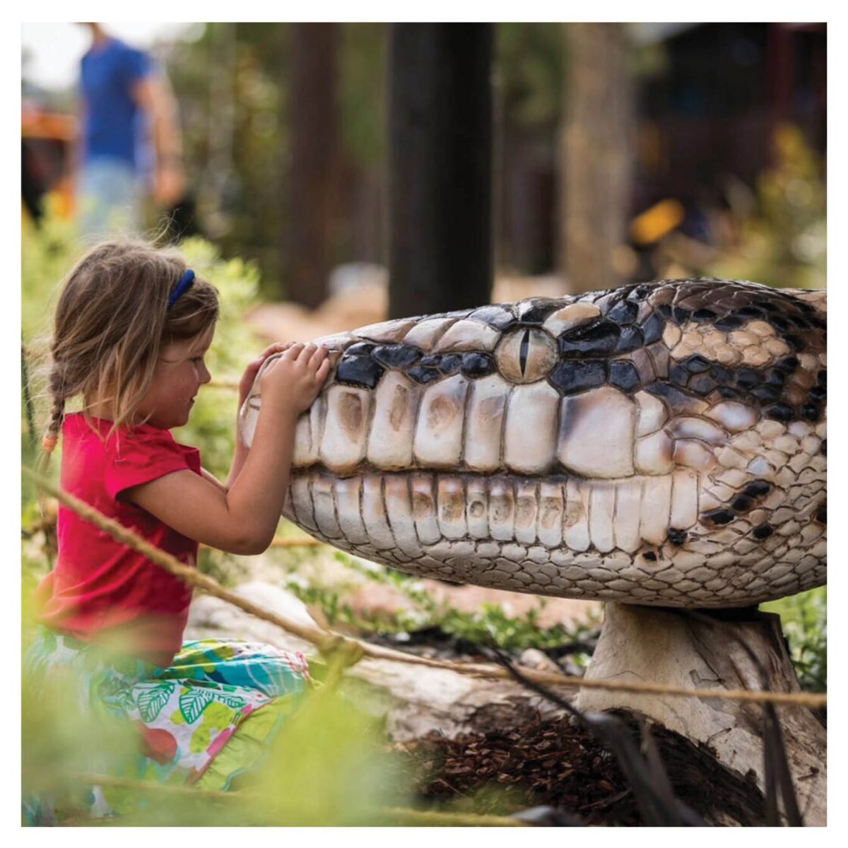 Natureworks Australia Playground Theming Completed Playgrounds Snake Head Product Gallery px px