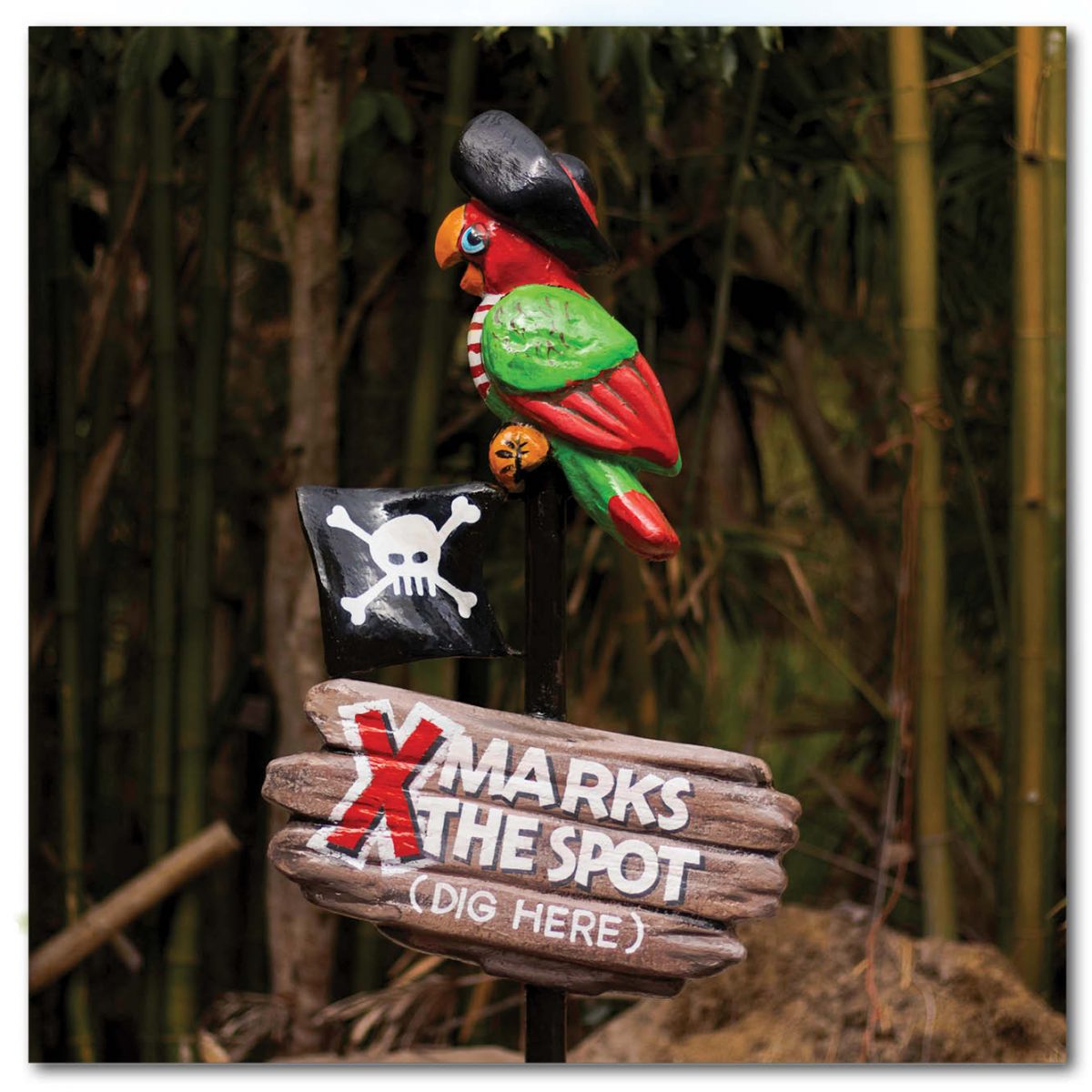 Natureworks Australia Playground Theming Pirate Play Pirate Dig X marks the spot Product Image px px