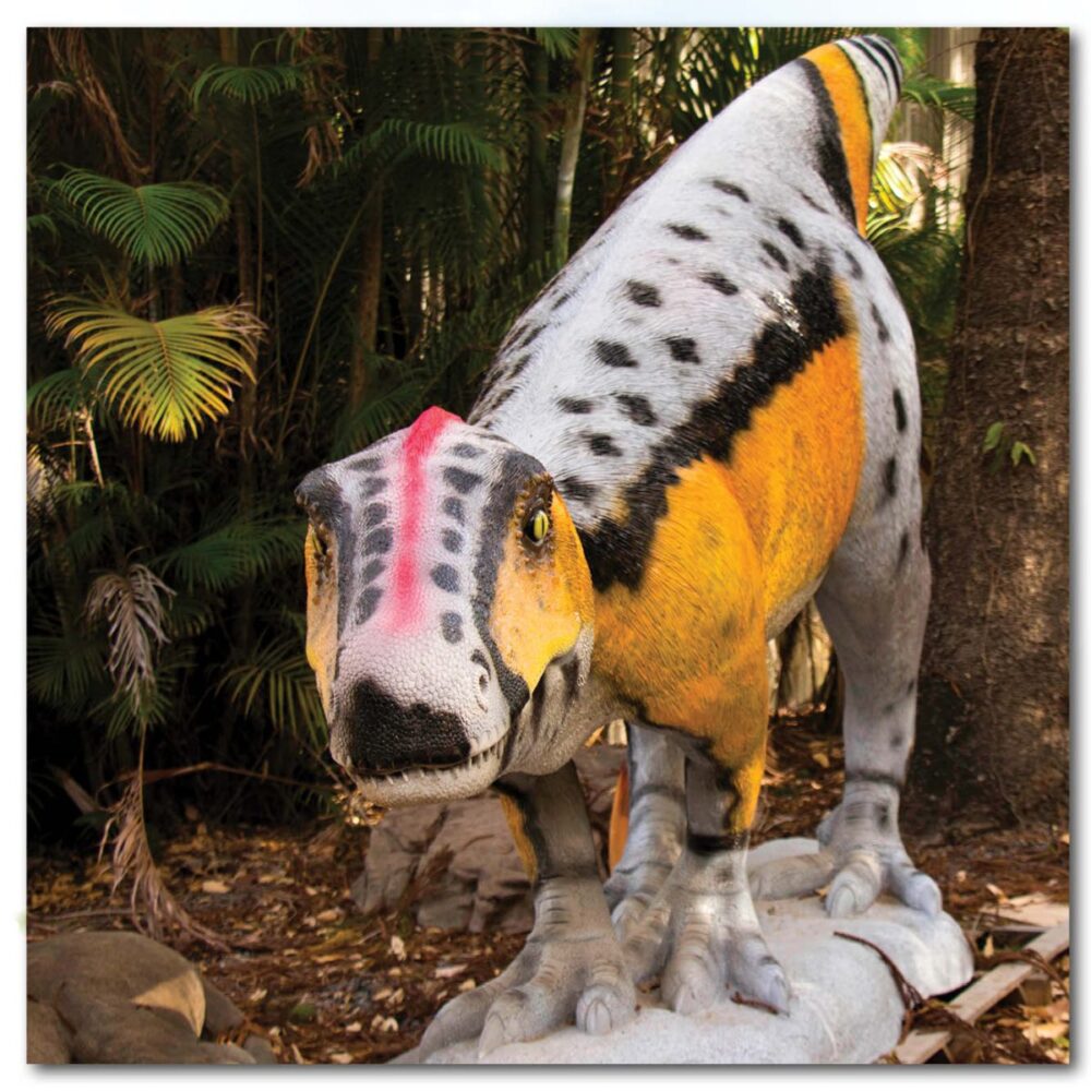 Playground Theming Prehistoric Play Rosewood Raptor Front view Product Image  px px
