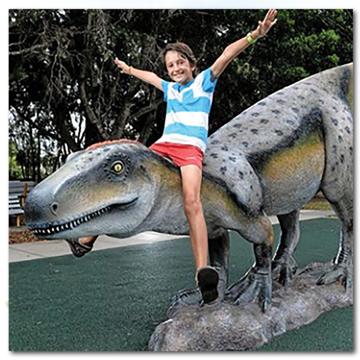 Natureworks Australia Playground Theming Prehistoric Play Rosewood Raptor Front view Product Image px px