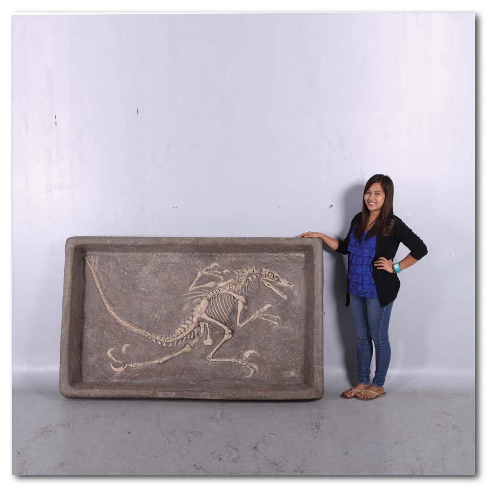 Prehistoric Dinosaur Fossil Digs Velociraptor Fossil Dig Bronze Product Image  px px