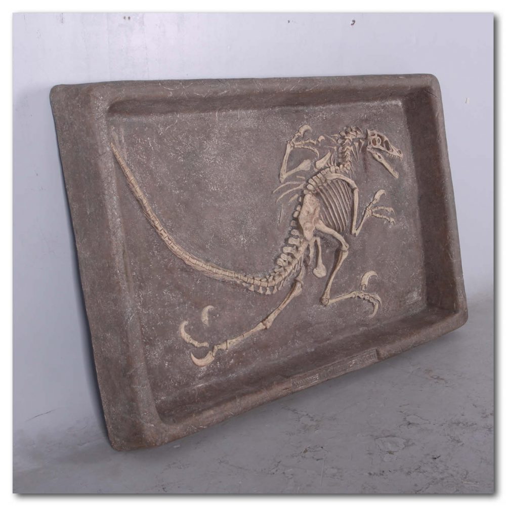 Prehistoric Dinosaur Fossil Digs Velociraptor Fossil Dig Bronze Product Image V px px