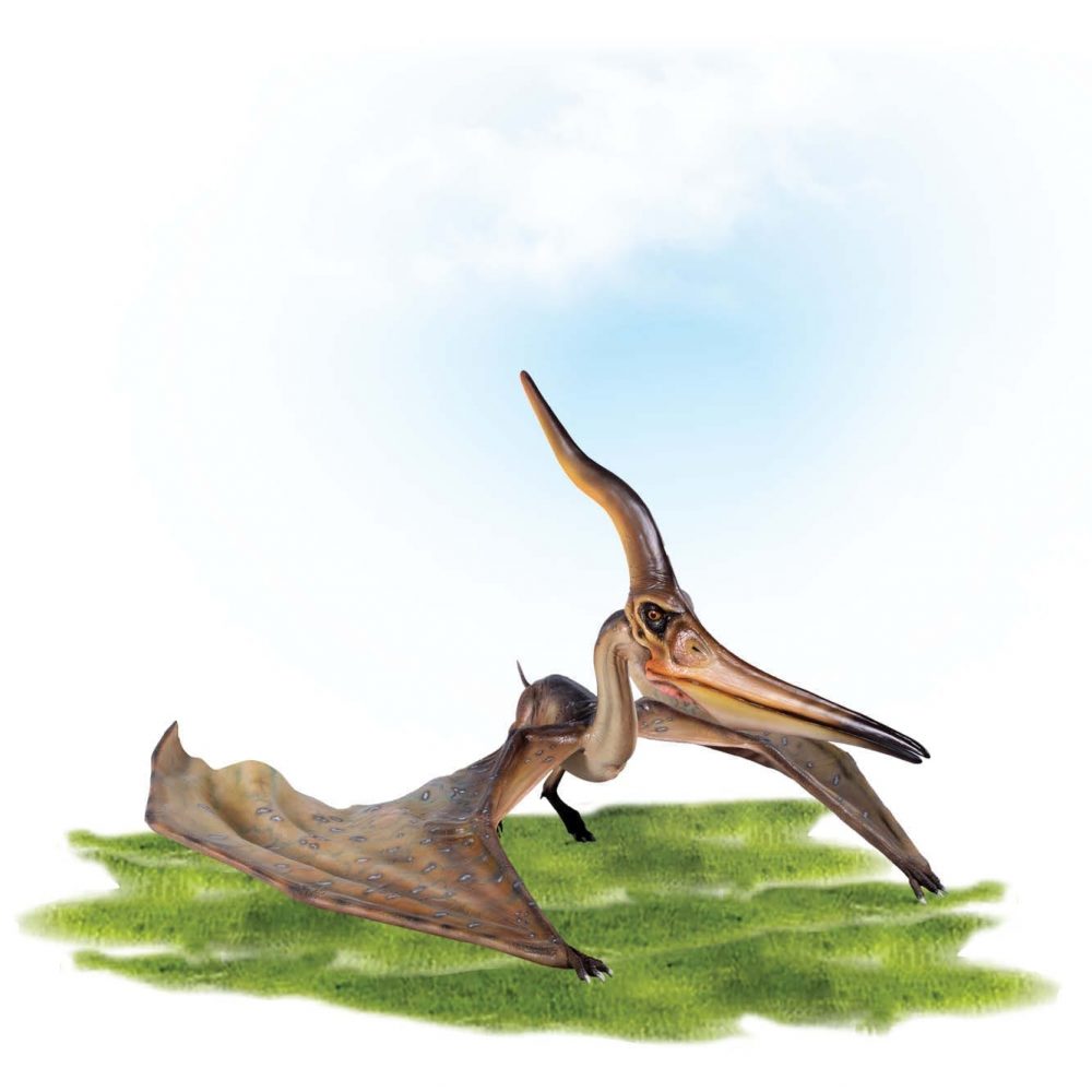 Prehistoric Dinosaur sculpture Pteranodon Ingens standing wings out Product Image V px px