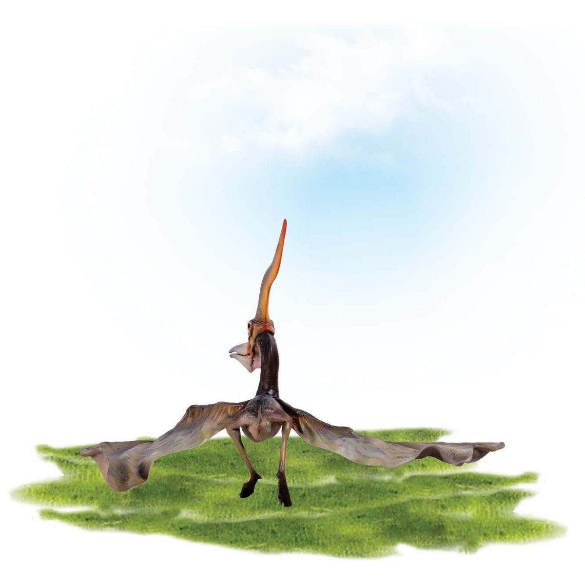 Natureworks Australia Prehistoric Dinosaur sculpture Pteranodon Ingens standing wings out Product Image V px px