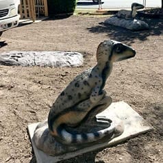 Natureworks Australia Rosewood Raptor Dinosaur showing juvenile sitting during install