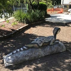 Natureworks Australia Rosewood Raptor Dinosaur showing lying theropod during install