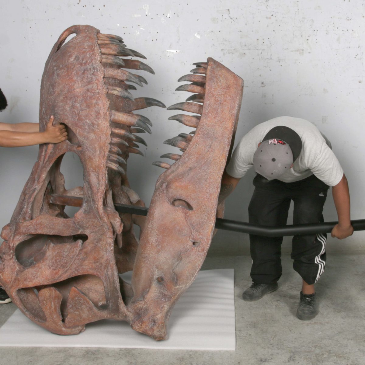 Natureworks Australia Tyrannosaurus Rex skull, measuring 172cm high -sculpture