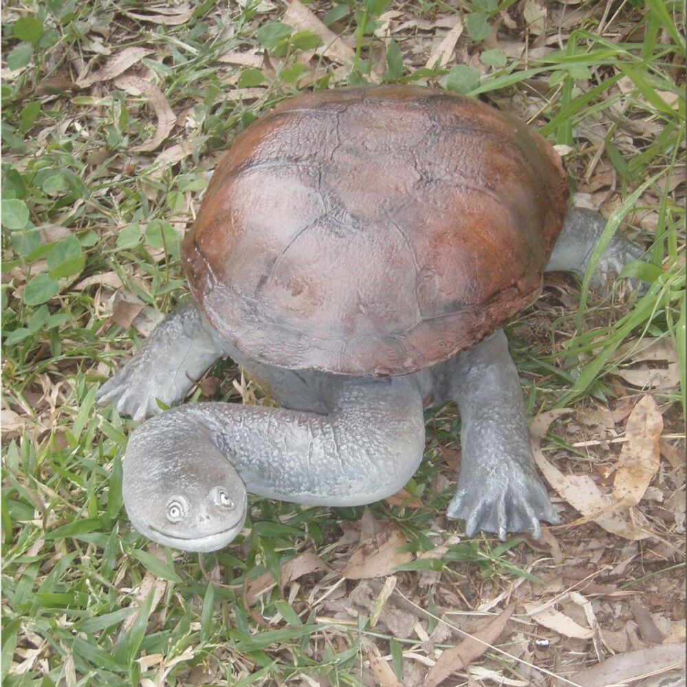 Cute long necked freshwater turtle statue - Life-size - ead up saying hello