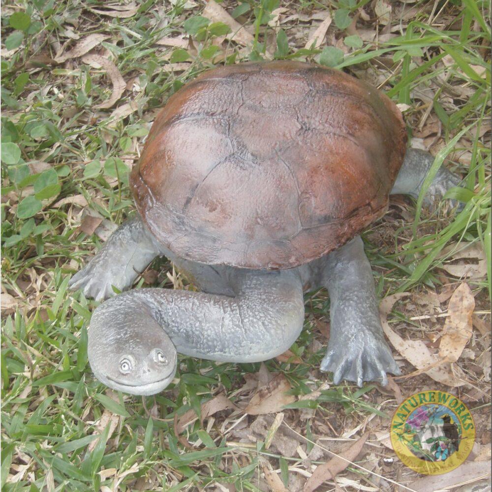 Cute long necked freshwater turtle statue - Life-size - ead up saying hello