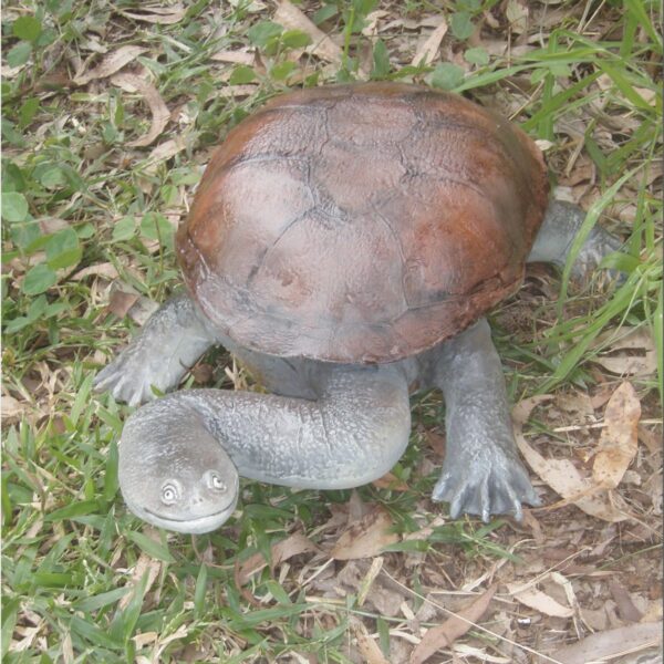 Cute long necked freshwater turtle statue - Life-size - ead up saying hello