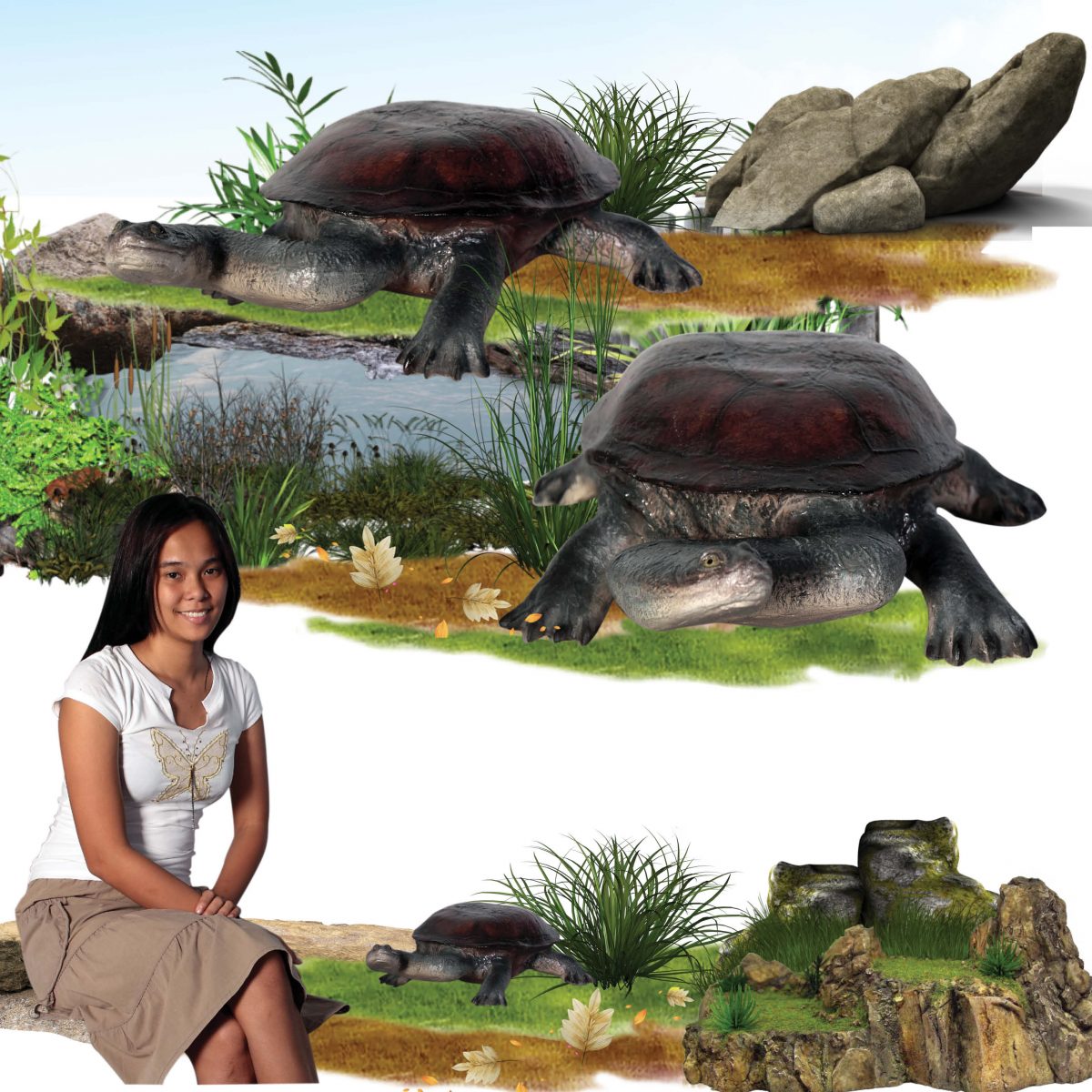 Natureworks Australia Cute long necked freshwater turtle statue - Life-size