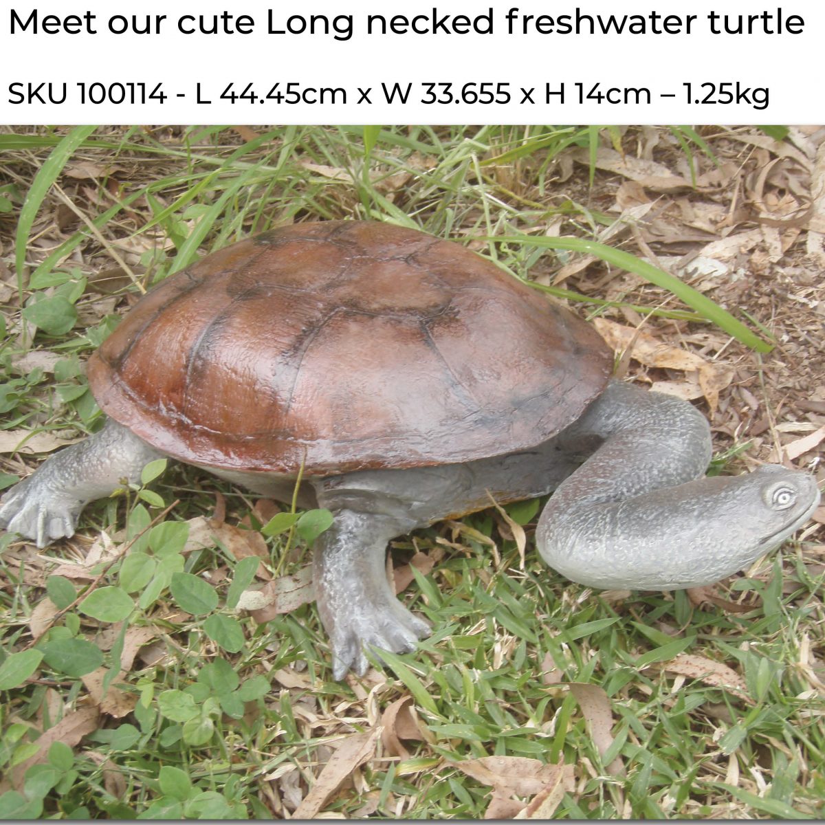 Natureworks Australia Cute long necked freshwater turtle statue - Life-size- side view