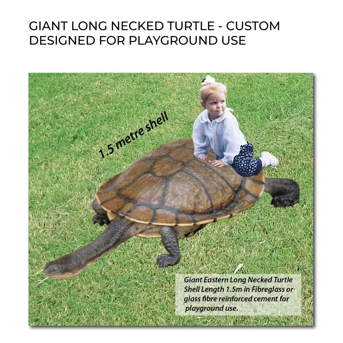 Natureworks Australia Cute long necked freshwater turtle statue - Larger than life-suze for playground use