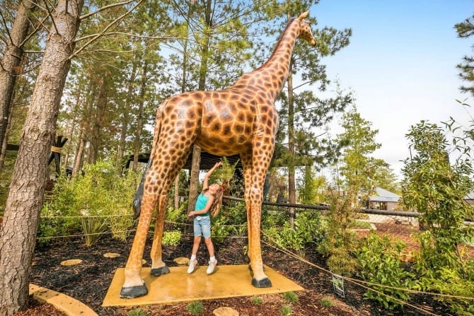 Zoo playground