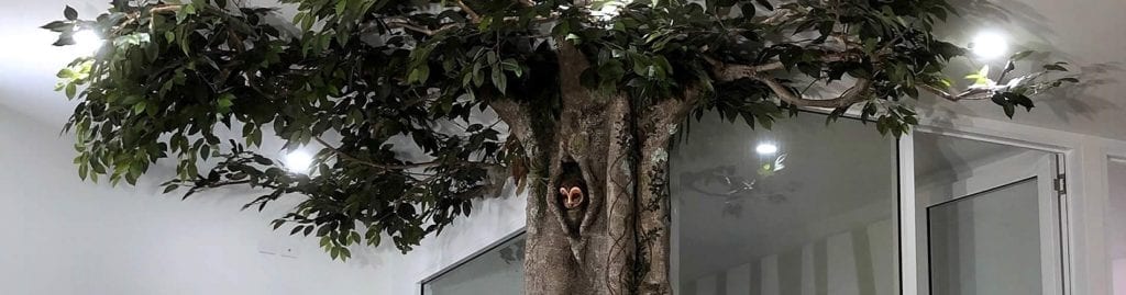 Tree inside waiting room