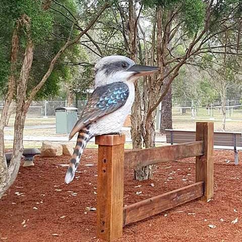 kookaburra in play area