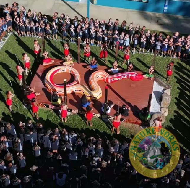 Natureworks Australia Rainbow serpent at Weir State School